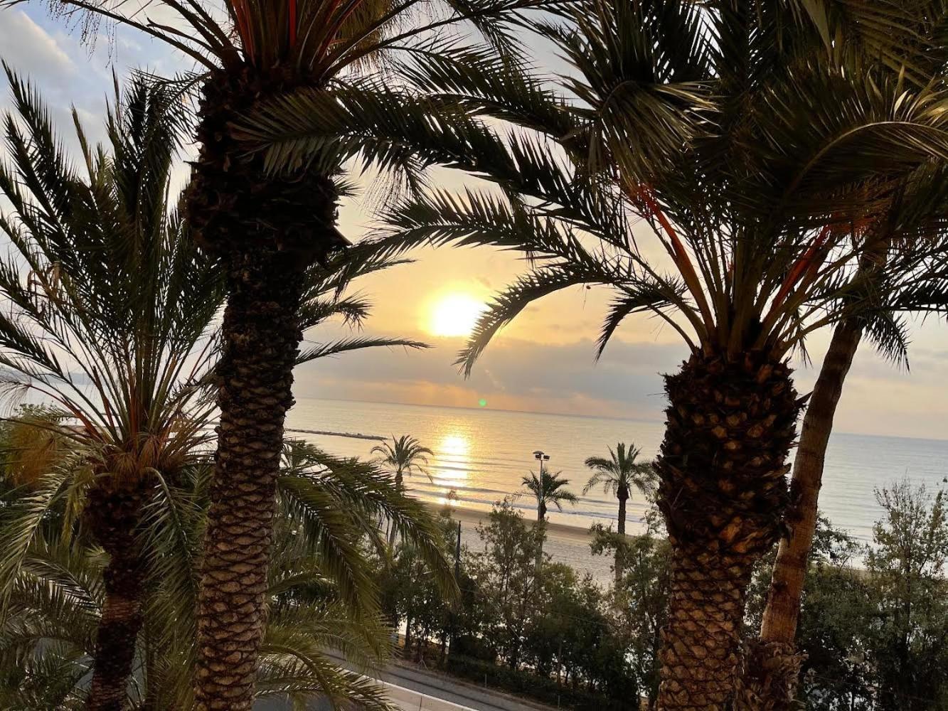 Gran Atico Con Terraza En El Centro De Alicante Exterior foto